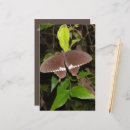 Zoek naar vader briefpapier Moeder