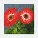 Zoek naar gerbera magneten Rood