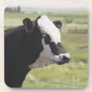 Zoek naar camera onderzetters Landbouw