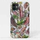 Zoek naar ernst haeckel iphone hoesjes Natuur