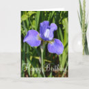 Zoek naar iris groet Tuin