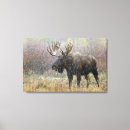 Zoek naar eland kunst Stier