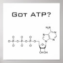 Zoek naar biochemie posters Wetenschap