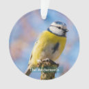 Zoek naar vogels ornamenten Voor iedereen
