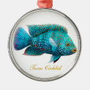 Zoek naar aquarium ornamenten Tropische vis