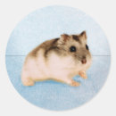 Zoek naar hamsters stickers Kinderen