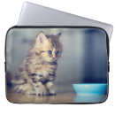 Zoek naar perzisch laptop sleeves Schattig
