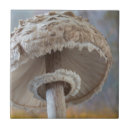 Zoek naar macro tegels Close up