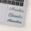 Zoek naar glanzend hoesjes Elegant