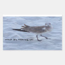 Zoek naar zeemeeuwen stickers Beach