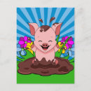 Zoek naar modder briefkaarten Varken