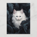 Zoek naar witte kat briefkaarten Illustratie