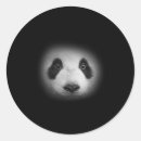 Zoek naar panda gezicht stickers Beer