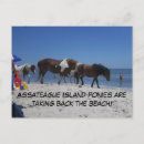 Zoek naar ponies briefkaarten Wild