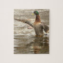 Zoek naar wilde eend puzzels Dieren