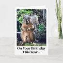 Zoek naar noten kaarten Eekhoorn