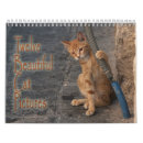 Zoek naar katten kalenders Dieren