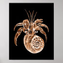 Zoek naar vissen posters Strand