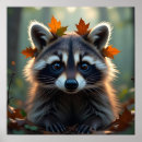 Zoek naar wasbeer posters Schattig
