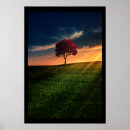 Zoek naar boom posters Natuur