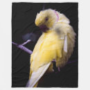 Zoek naar parkieten dekens Vogel
