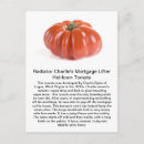 Zoek naar tomato briefkaarten Heirloom