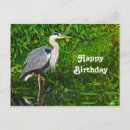 Zoek naar natuurfoto briefkaarten Wilde dieren