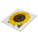 Zoek naar flora tegels Zonnebloem