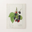 Zoek naar braam puzzels Fruit