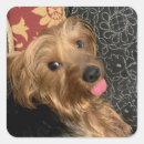 Zoek naar baby foto stickers Afbeelding