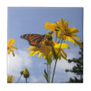 Zoek naar butterfly tegels Geel