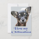 Zoek naar chihuahua puppy kaarten Humor