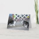 Zoek naar witte tijger kaarten Katten