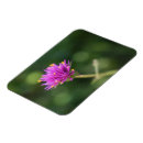 Zoek naar purple magneten Floreel