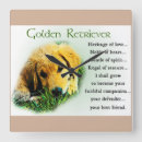 Zoek naar golden retriever puppy klokken Puppies