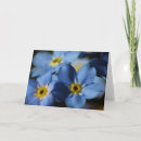 Zoek naar vergeet mij nietjes kaarten Bloemen