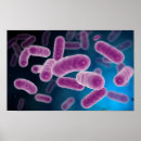 Zoek naar bacteriën posters Illustratie