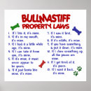 Zoek naar bullmastiff kunst Grappig