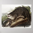Zoek naar otter kunst Vintage