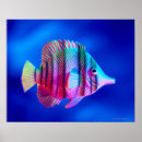 Zoek naar vis posters Zeewier