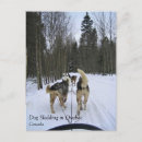 Zoek naar quebec briefkaarten Winter