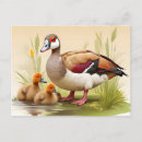 Zoek naar eendjes briefkaarten Gans