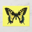 Zoek naar vintage insecten briefkaarten Kleurrijk