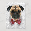 Zoek naar bowtie briefkaarten Dieren