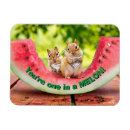 Zoek naar watermeloenen magneten Grappig