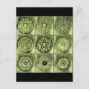 Zoek naar wicca symbolen briefkaarten Voor iedereen