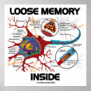 Zoek naar synapse posters Neuron