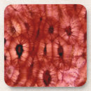 Zoek naar cellen onderzetters Abstract