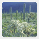 Zoek naar plant orgaan Flora