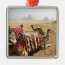 Zoek naar oud egypte ornamenten Caïro